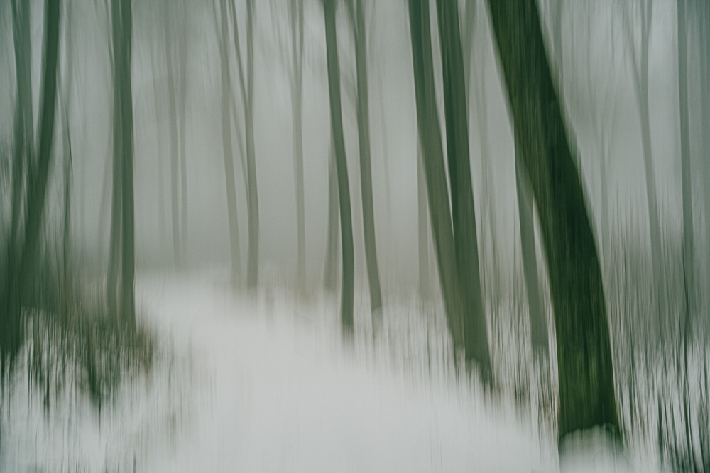 Platz 11 Michael Mayer